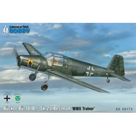 Bücker Bü 181B / Sk 25 Bestmann 'WWII Trainer', 1/48 - Special Hobb...