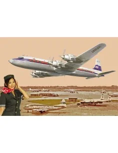 DC-7C Japan Air Lines, 1/144 - Roden 303