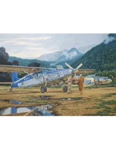 Pilatus PC-6C/H-2 Turbo-Porter, 1/48 - Roden 440