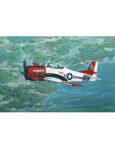 North American T-28B Trojan, 1/48 - Roden 441