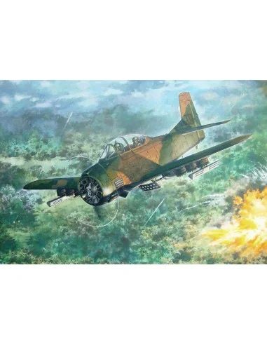North American T-28D Trojan, 1/48 - Roden 450