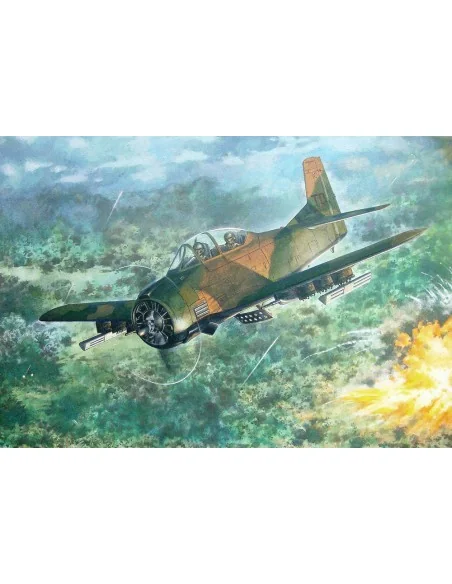 North American T-28D Trojan, 1/48 - Roden 450