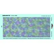 HALBERSTADT CL.II, LATE VERSIONS PRESENTATION & SPECIAL MACHINES, 1...