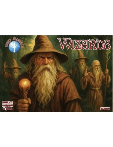 Wizards, 1/72 - ALLIANCE ALL72069