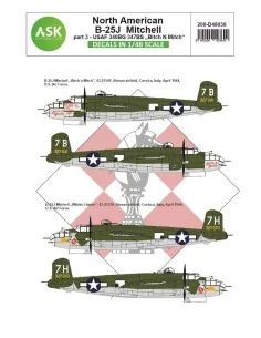 B-25J Mitchell part 3 - US Air Force Bitch N Mitch Mediterranean ri...
