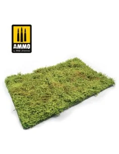 Wilderness Fields with Bushes - Spring - AMMO by MIG Jimenez A.MIG-...