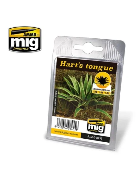 Hart's Tongue - AMMO by MIG Jimenez A.MIG-8455