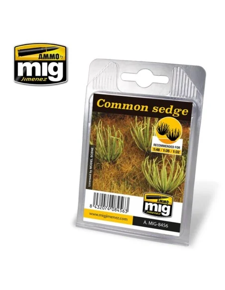 Common Sedge - AMMO by MIG Jimenez A.MIG-8456