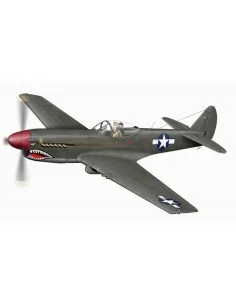 XP 40Q-2 Warhawk, letzte Ausführung - Planet Models 129-PLT104