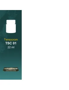 Box of 6 acrylic agents for weathering - Lifecolor TSC01