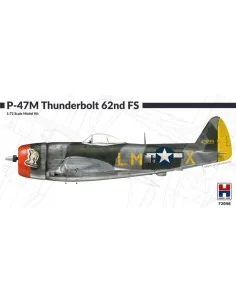 P-47M Thunderbolt 62nd Fighter Squadron, 1/72 - Hobby 2000 72046