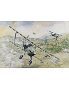 Arado Ar 68E, 1/48 - Roden 427