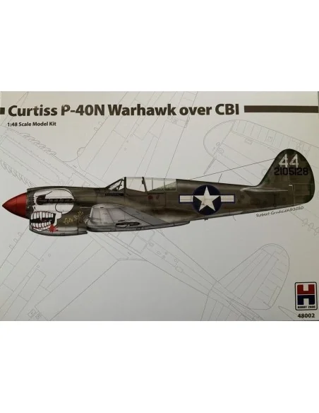 Curtiss P-40N Warhawk over CBI, 1/48 - Hobby 2000 48002