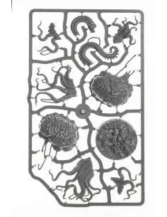 Ancient Brain - Archon Studio DNL0140 2