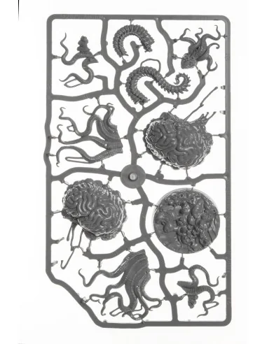 Ancient Brain - Archon Studio DNL0140
