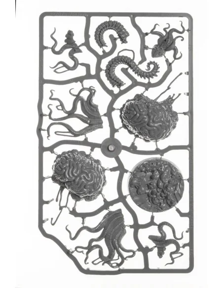 [NO_DESC] Ancient Brain - Archon Studio DNL0140
