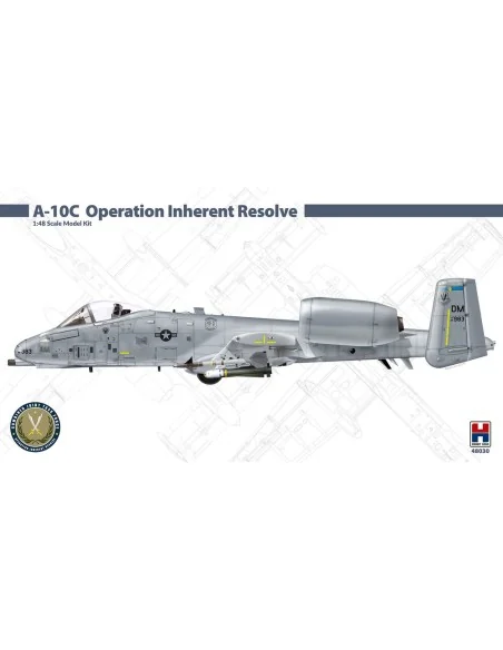 [NO_DESC] A-10C Operation Inherent Resolve, 1/48 - Hobby 2000 48030