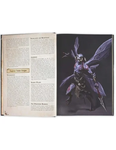 Dungeons & Lasers THE WORLD OF DEUSLAIR: RPG CAMPAIGN (hardcover) -...