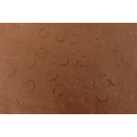 HORSESHOES, 1/48 - Hauler HLX48215