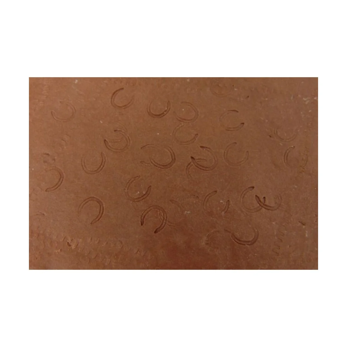 HORSESHOES, 1/48 - Hauler HLX48215