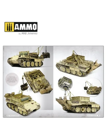 Panthers - Modeling the TAKOM Family (English) - AMMO by MIG Jimene...