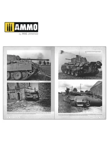 Panthers - Modeling the TAKOM Family (English) - AMMO by MIG Jimene...