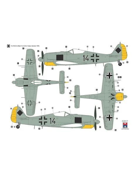 Focke-Wulf Fw 190 A-5/A-6 Nachtjager, 1/32 - Hobby 2000 H2K32017