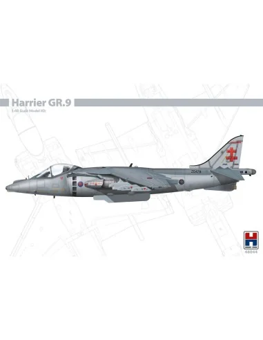 [NO_DESC] Harrier GR.9, 1/48 - Hobby 2000 48044