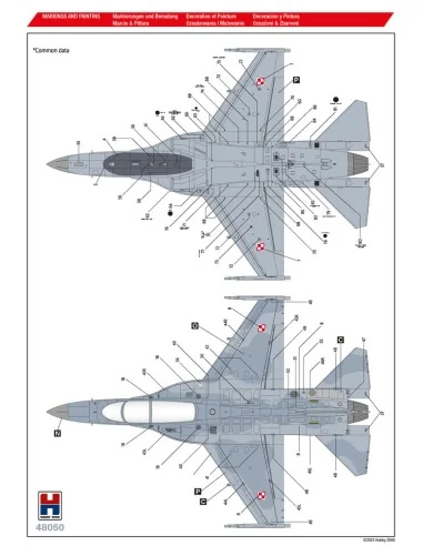 FA-50GF Polish Air Force, 1/48 - Hobby 2000 48050