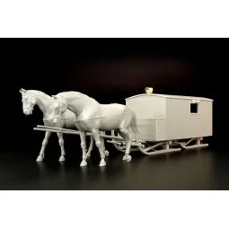 HS-3-1 Krankenschlittens, 1/35 - Hauler HLM35002