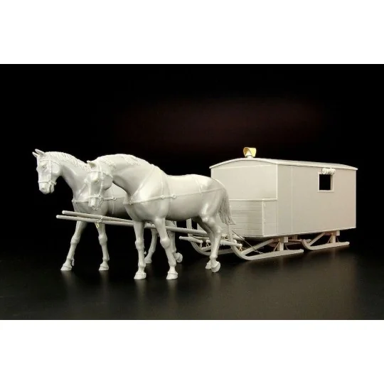 HS-3-1 Krankenschlittens, 1/35 - Hauler HLM35002