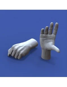 Assorted hands set No. 2, 1/16 - Royal Model RM963 2