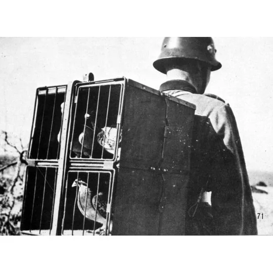 GERMAN pigeons of war - Hauler HLU35032