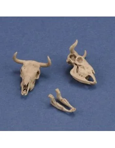Cow skulls, 1/35 - Royal Model RM1051