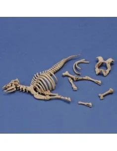 Cow skeleton n.3, 1/35 - Royal Model RM1048