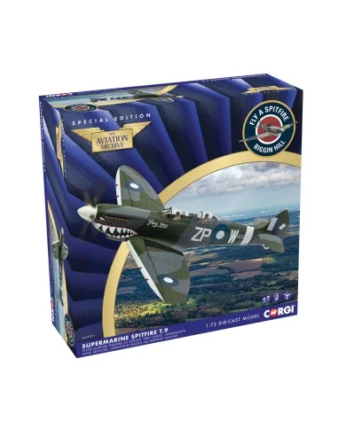Supermarine Spitfire T.9 TE308 (G-AWGB) Finished as A58-606 'Grey N...