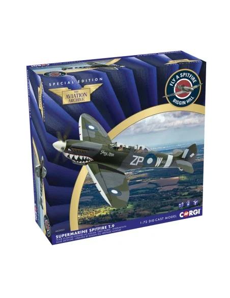 Supermarine Spitfire T.9 TE308 (G-AWGB) Finished as A58-606 'Grey N...