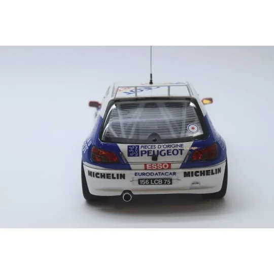 Peugeot 306 MAXI 96 Monte Carlo Rally, 1/24 - NUNU-BEEMAX PN24009