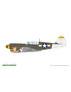 P-40N Warhawk, 1/48 - Eduard Plastic Kits 84210 2
