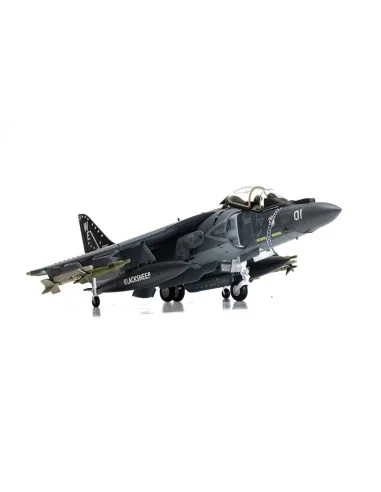 [NO_DESC] McDonnell Douglas AV-8B+ Harrier II - 165001/01 - VMA-214...