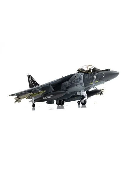 McDonnell Douglas AV-8B+ Harrier II - 165001/01 - VMA-214 'Black Sh...