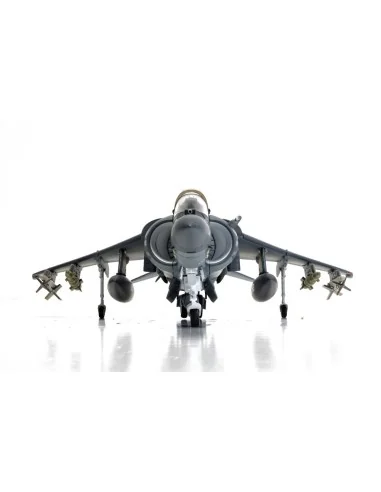 McDonnell Douglas AV-8B+ Harrier II - 165001/01 - VMA-214 'Black Sh...