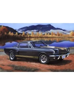 Shelby Mustang GT 350 H, 1/24 - Revell 07242 2