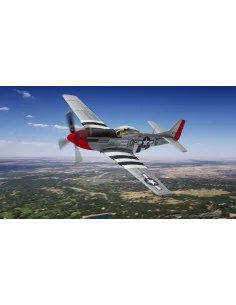 [NO_DESC] North American P-51D Mustang, 44-73843, 'Old Red Nose™', ...
