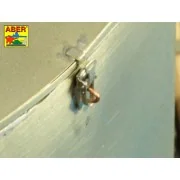 Pz.Kpfw.VIAusf.E(Sd.Kfz.181)Tiger I-s.PzAbt.501 in Tunisia - Aber M...