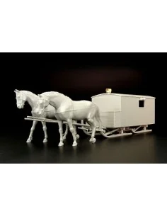 HS-3-1 Krankenschlittens, 1/35 - Hauler HLM35002