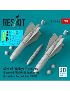 AGM-62 Walleye II missiles (2 pcs) with AN/AWG-16 data link pod (1 ...