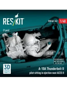 A-10A Thunderbolt II pilot sitting in ejection seat ACES II (1 pcs)... 2