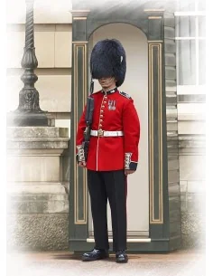 [NO_DESC] British Grenadier Queen's Guards, 1/16 - ICM 16001