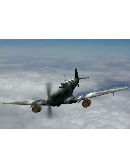 Spitfire Mk.IXC "Beer Delivery" WWII British Fighter, 1/48 - ICM 48060